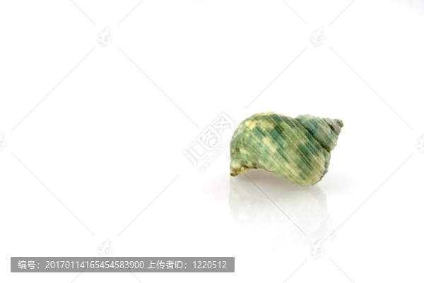 綠色的蝸牛-匯圖網(wǎng) www.fosd68.com 綠色的蝸牛