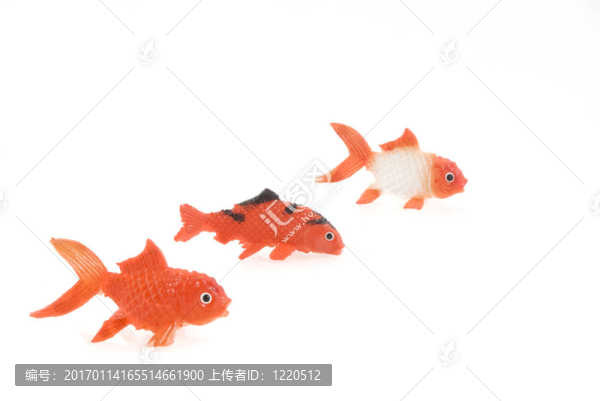 三條金魚