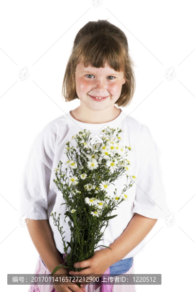 和菊花的女孩