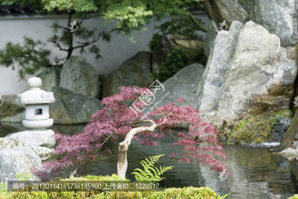 日本式庭園
