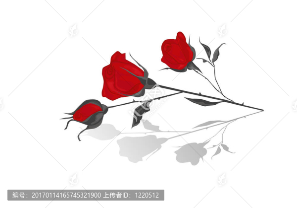 紅玫瑰