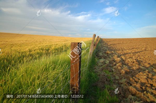 農(nóng)業(yè)景觀-匯圖網(wǎng) www.fosd68.com 農(nóng)業(yè)景觀