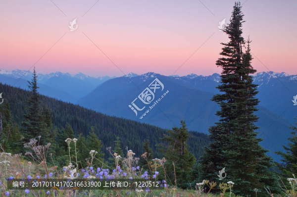山景