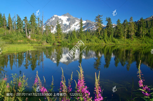 峰refelections