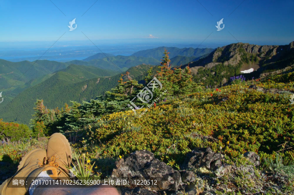 山景