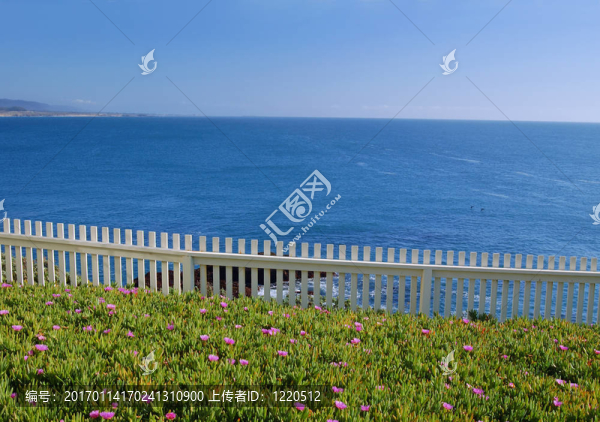 沿海的意見
