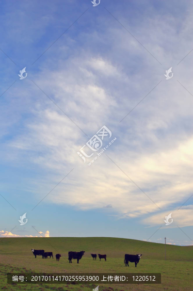 春天的鄉(xiāng)村