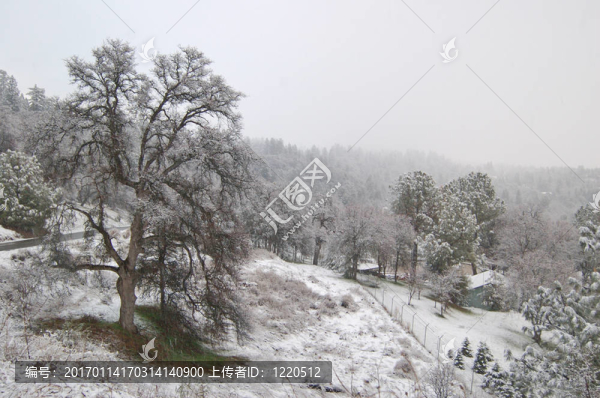 雪鄉(xiāng)