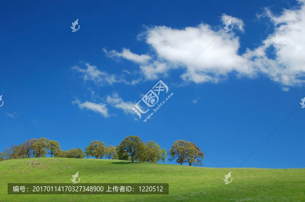 春天的風(fēng)景
