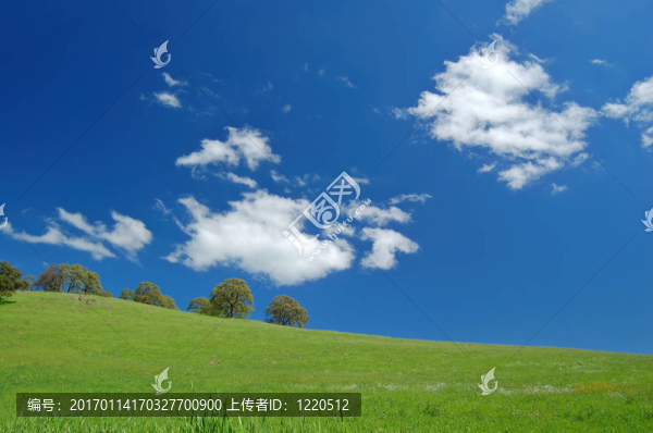 春天的風(fēng)景