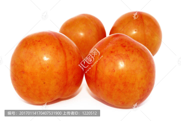 李子