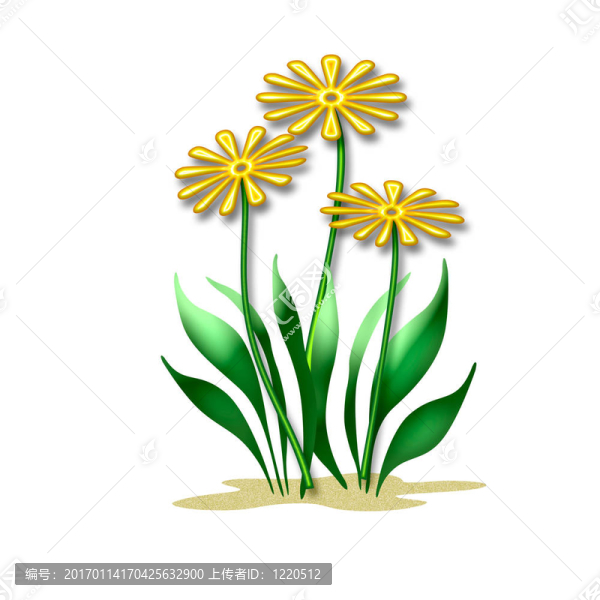 春天的花朵