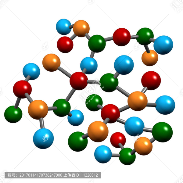 分子生物學(xué)的股