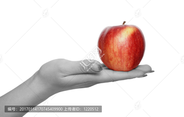 手上的紅蘋果
