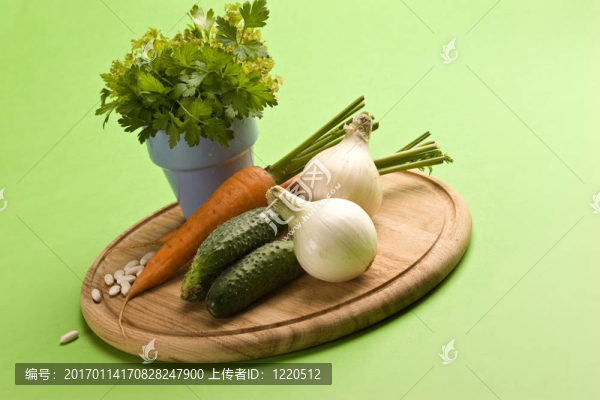 Vegeterian食品