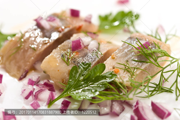 鯡魚