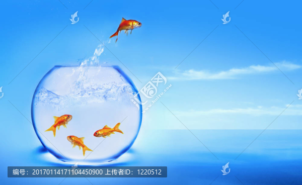 金魚從水里跳出來