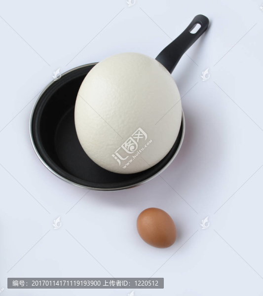 鴕鳥蛋