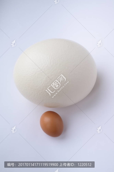 鴕鳥(niǎo)蛋