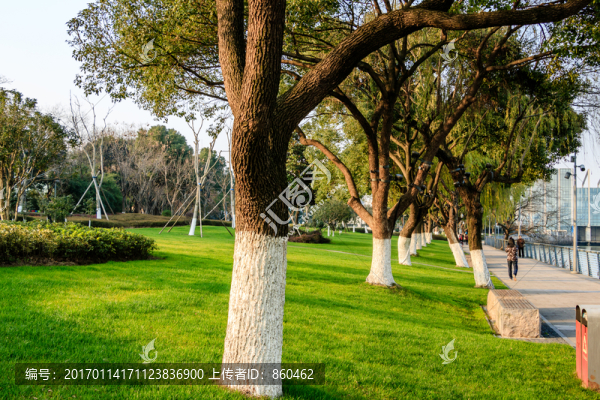 園林景觀,公園景觀,公園綠化