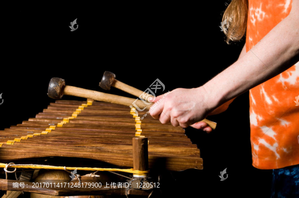 音樂