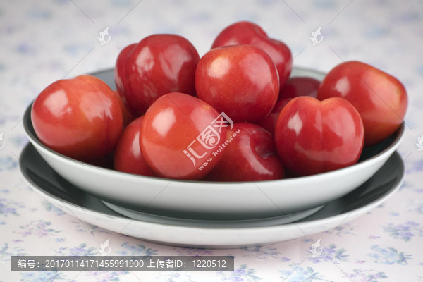 紅梅