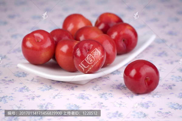 紅梅