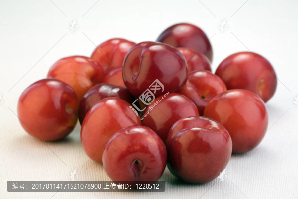 紅梅