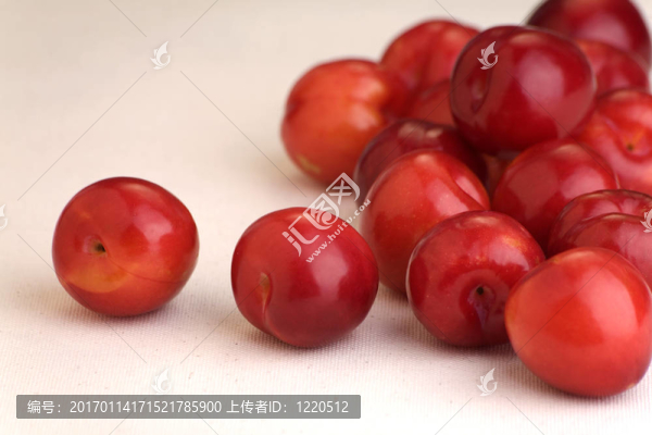 紅梅