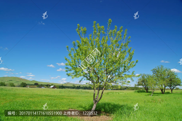 農(nóng)村