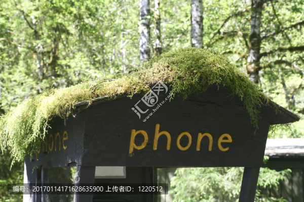 荒野的電話