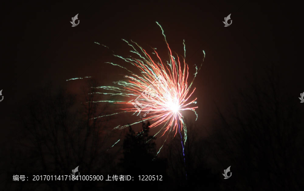 樹上的煙火