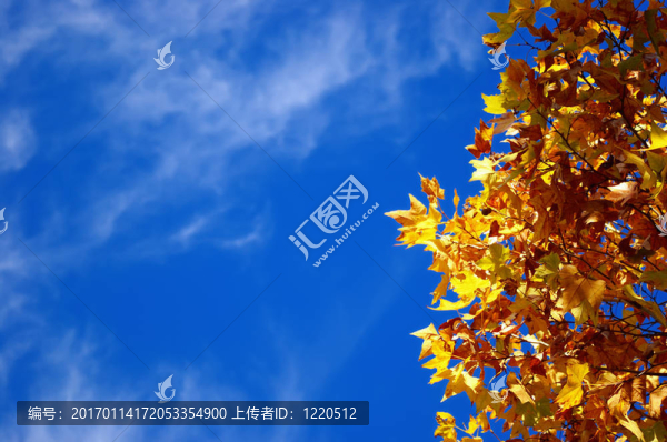 秋天的色彩