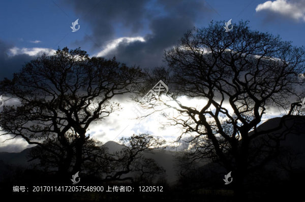 湖區(qū)夜空