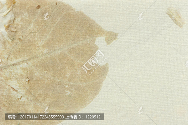 古老的羊皮紙