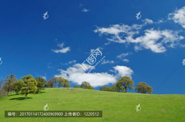 春天的鄉(xiāng)村