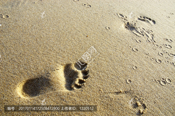 足跡