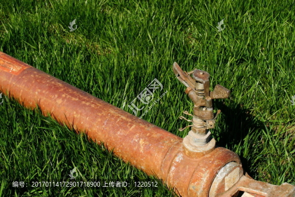 灑水器