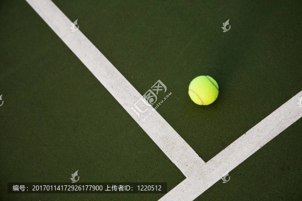 網(wǎng)球