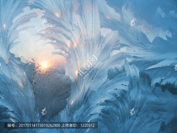 霜和太陽