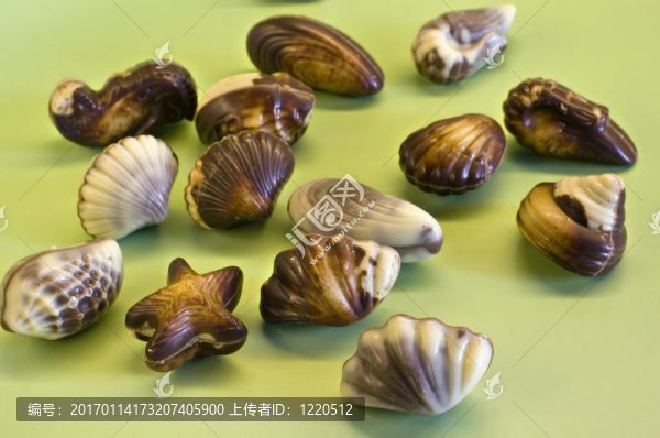 海鮮形狀的巧克力