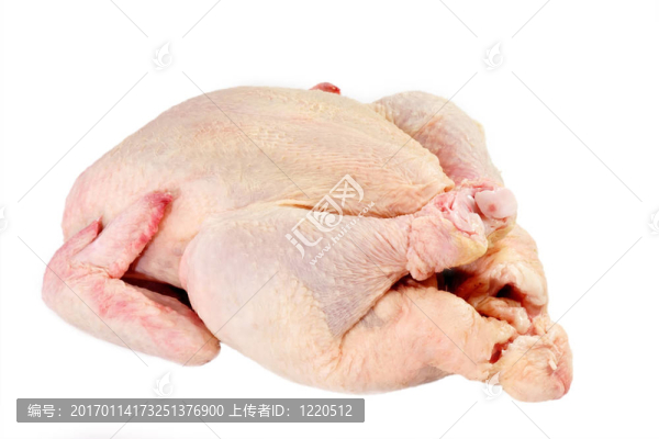 生雞肉