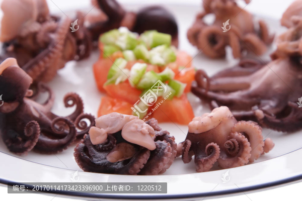 美式小章魚