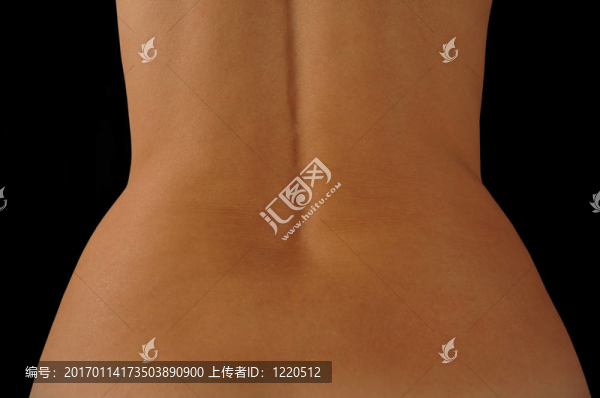 女性的背部