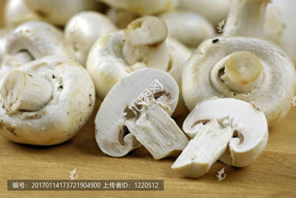 蘑菇