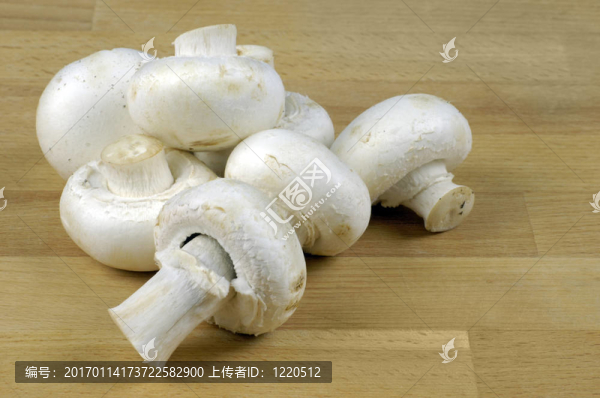 蘑菇