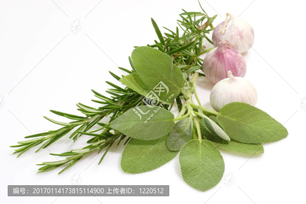 香草