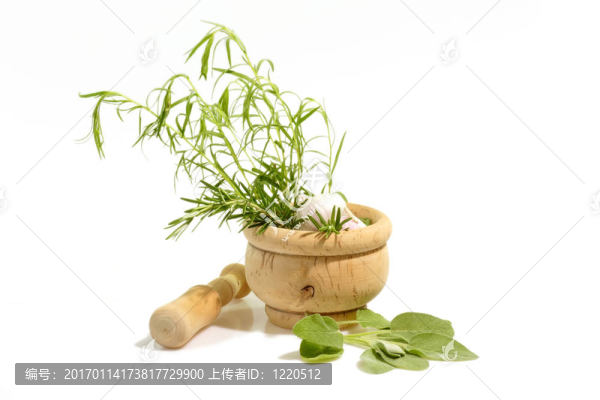 砂漿中