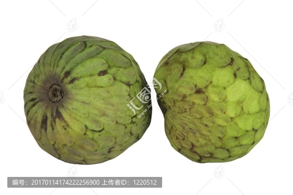 蛋奶凍蘋果