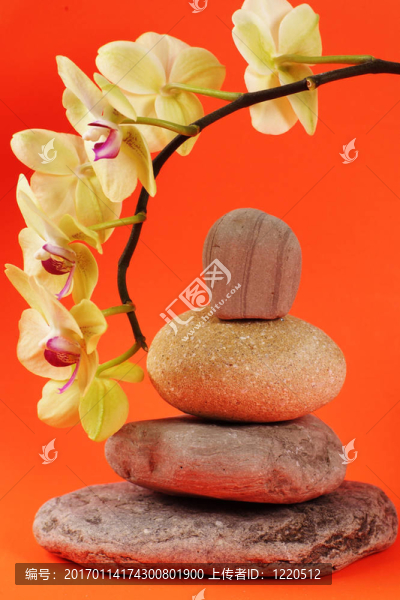 花和石頭